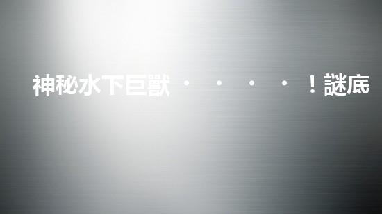 神秘水下巨獸！謎底揭曉，自動(dòng)抽沙機(jī)器人能否拯救海洋？